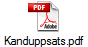 Kanduppsats.pdf