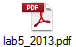 lab5_2013.pdf