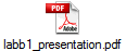 labb1_presentation.pdf