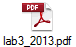 lab3_2013.pdf