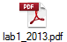 lab1_2013.pdf