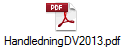 HandledningDV2013.pdf